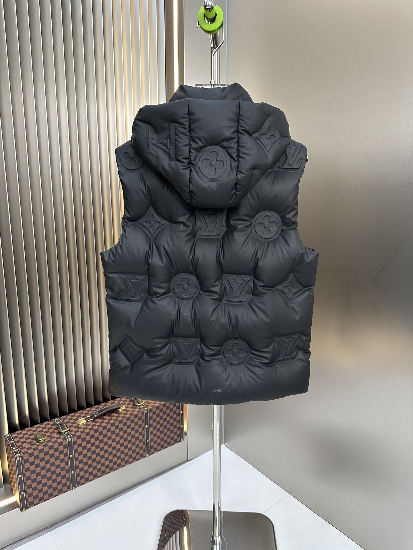 Louis Vuitton Down Jackets